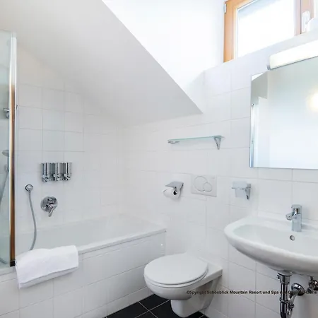 Schoenblick Mountain & - Original! アパートホテル 4*